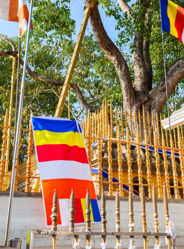 Anuradhapura Sacred Bo Tree