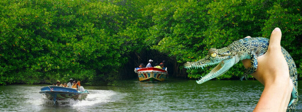 Madu River boat safari