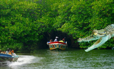 Madu River boat safari