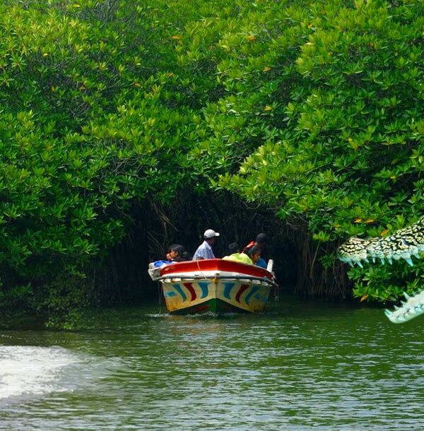 Madu River boat safari