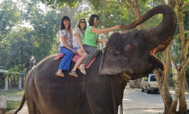 Pinnawala Elephant Orphanage