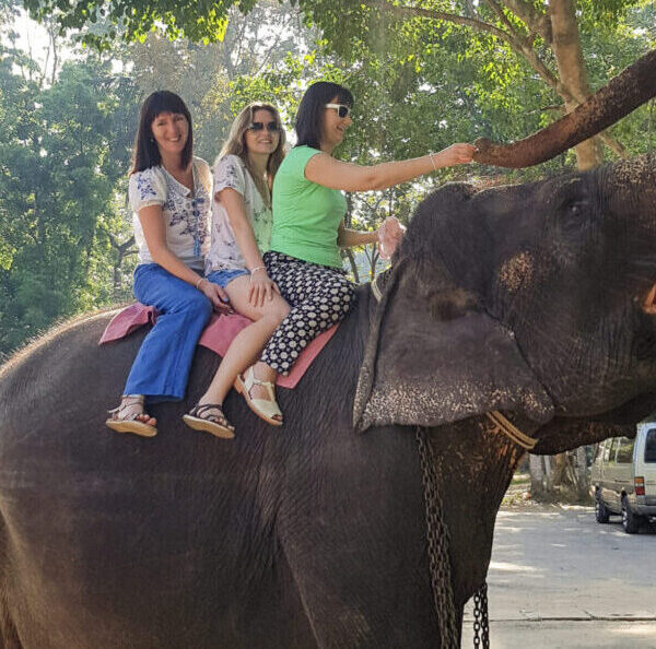 Pinnawala Elephant Orphanage