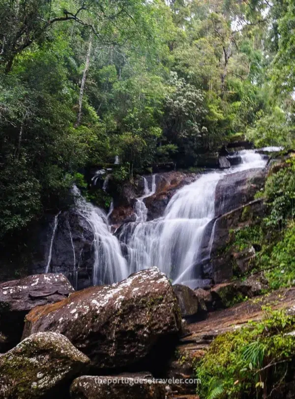 Sinharaja rainforest trail