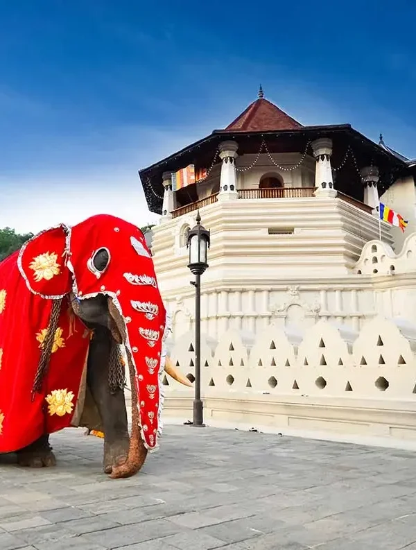 temple-sacred-tooth-relic-kandy-sri-lanka