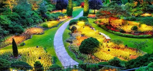 79b22d51b2faeecfef68c3d635562e27_1000x1000