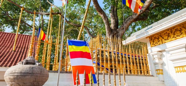 Anuradhapura Sacred Bo Tree