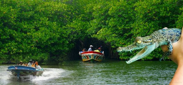 Madu River boat safari