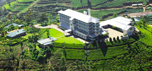 Nuwara Eliya Tea Plantation