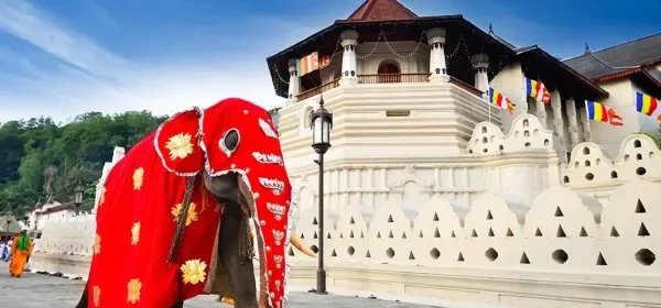 temple-sacred-tooth-relic-kandy-sri-lanka