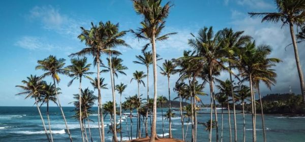 trinco coconut trangle